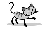 Katze
